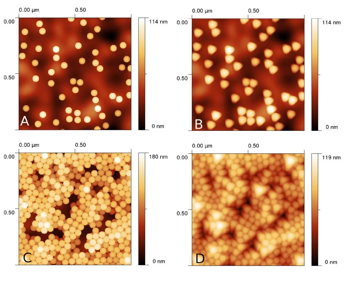 AFM height images of nanocarriers deposited on mica at different formulation conditions, with height scales shown for each scan.