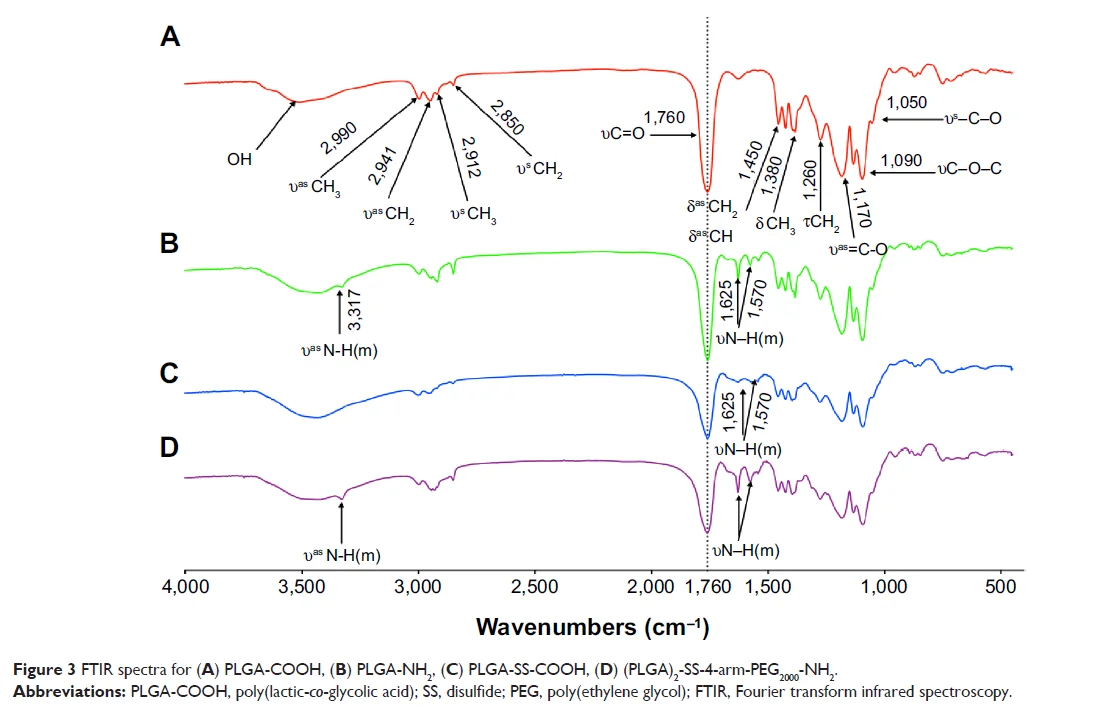 FTIR spectra of an X-shaped reduction-sensitive amphiphilic block copolymer and its building blocks (adapted from “Effects of X-shaped reduction-sensitive amphiphilic block copolymer on drug delivery”, doi:10.2147/IJN.S85230).